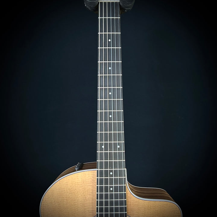 Taylor 214CE - Nylon