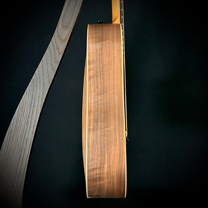 Taylor BT1 - Lefty