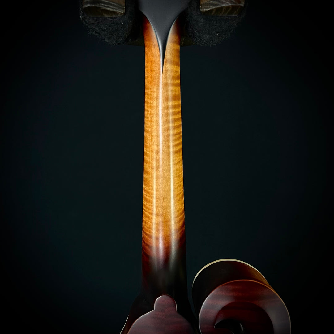 Gibson Sierra Hull F-5G - Sierra Burst VOS Finish