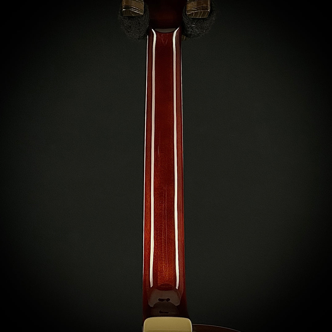 Ibanez Artcore Expressionist AG95K