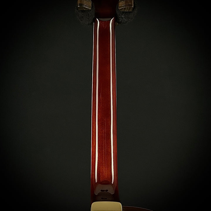 Ibanez Artcore Expressionist AG95K