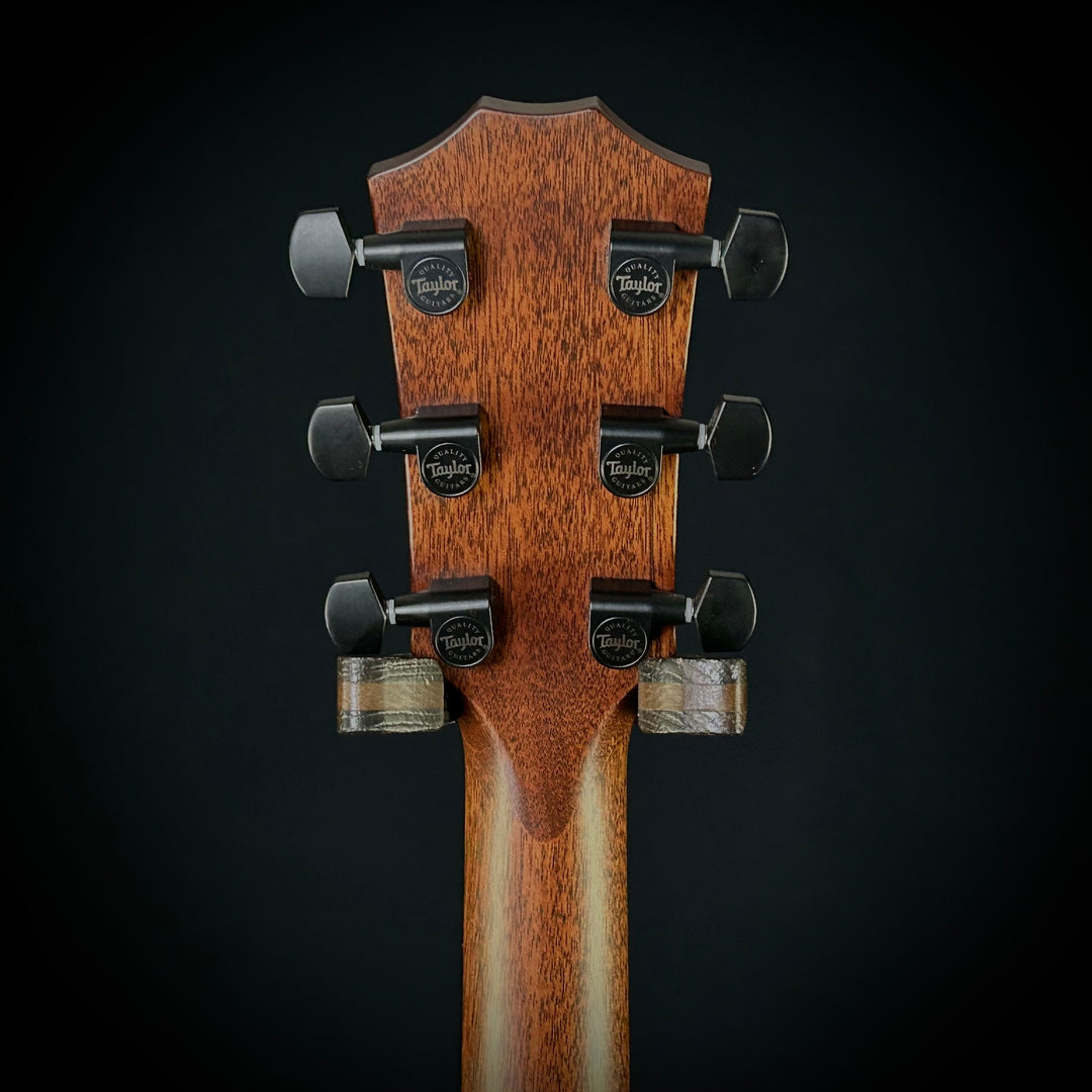 Taylor MV Custom Baritone-6 - Grand Auditorium