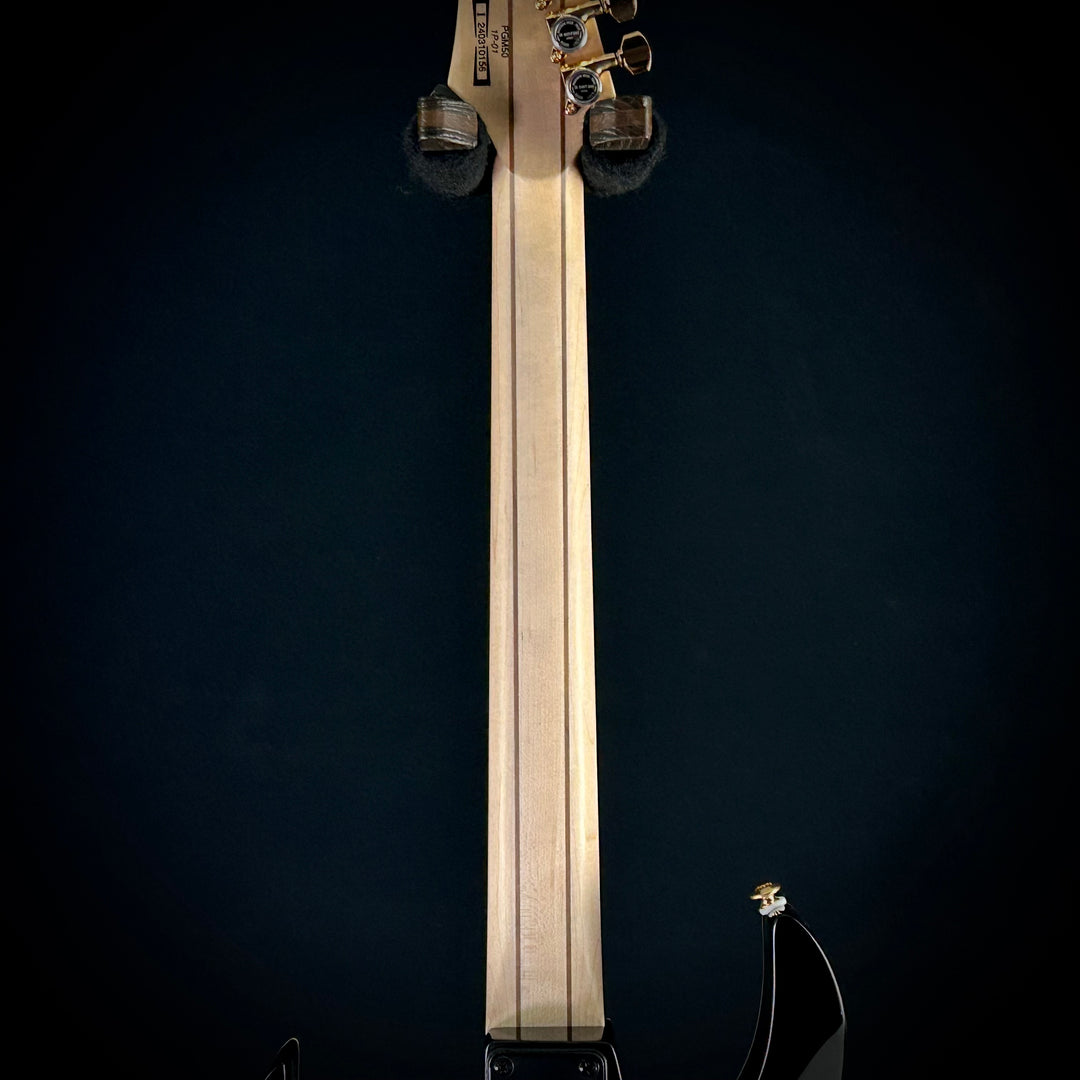 Ibanez Paul Gilbert Signature PGM50