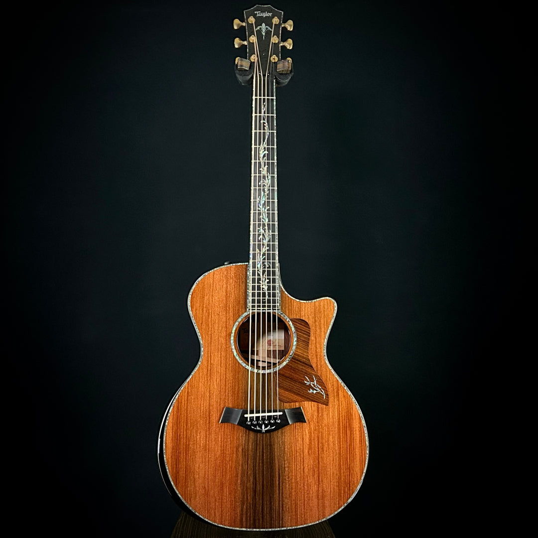 Taylor PS14ce (USED)