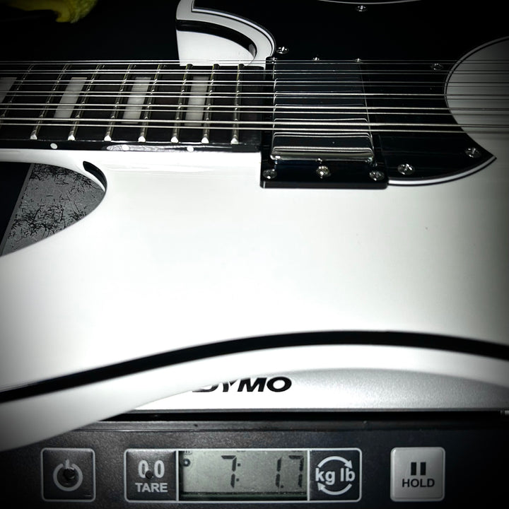 Schecter Stargazer 12