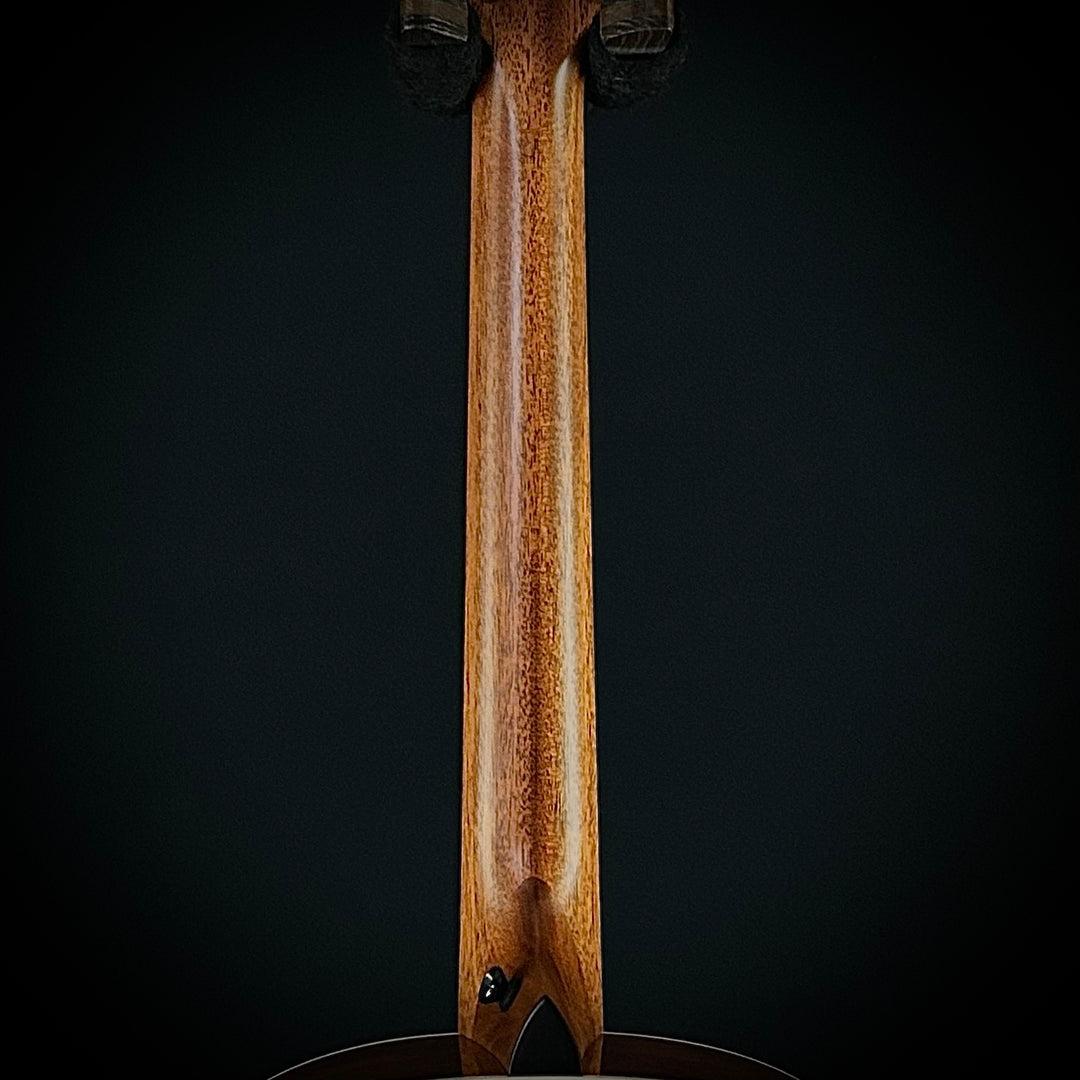 Taylor Gold Label 517E - Natural