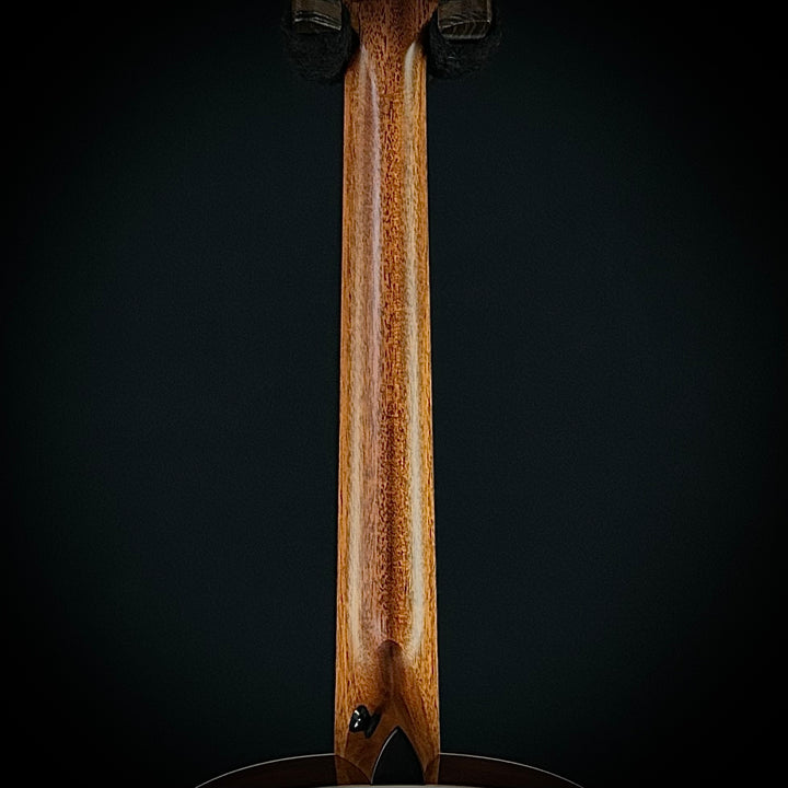 Taylor Gold Label 517E - Natural