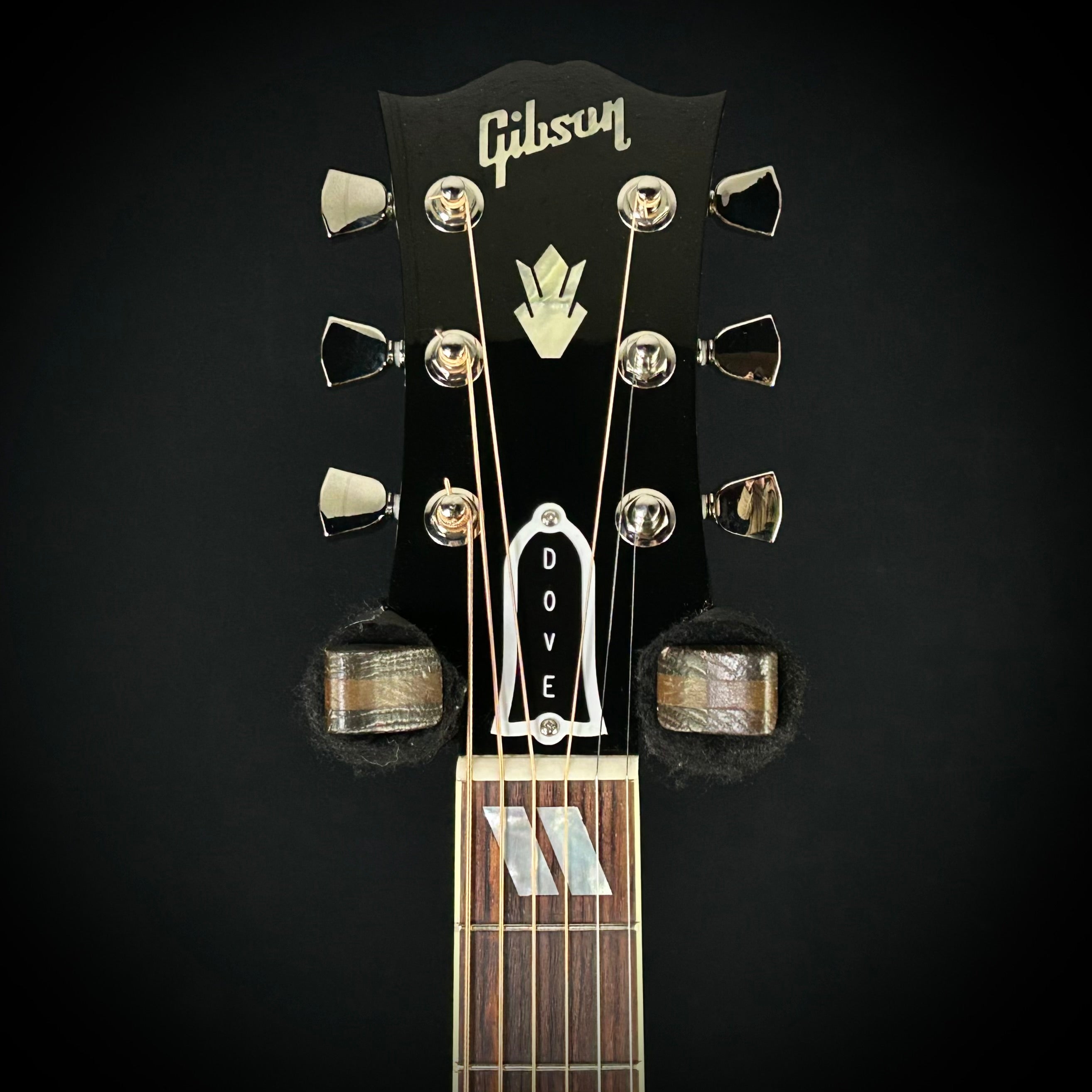 Gibson MV Custom Dove - Trans Black – Music Villa MT