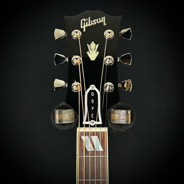 Gibson MV Custom Dove - Trans Black