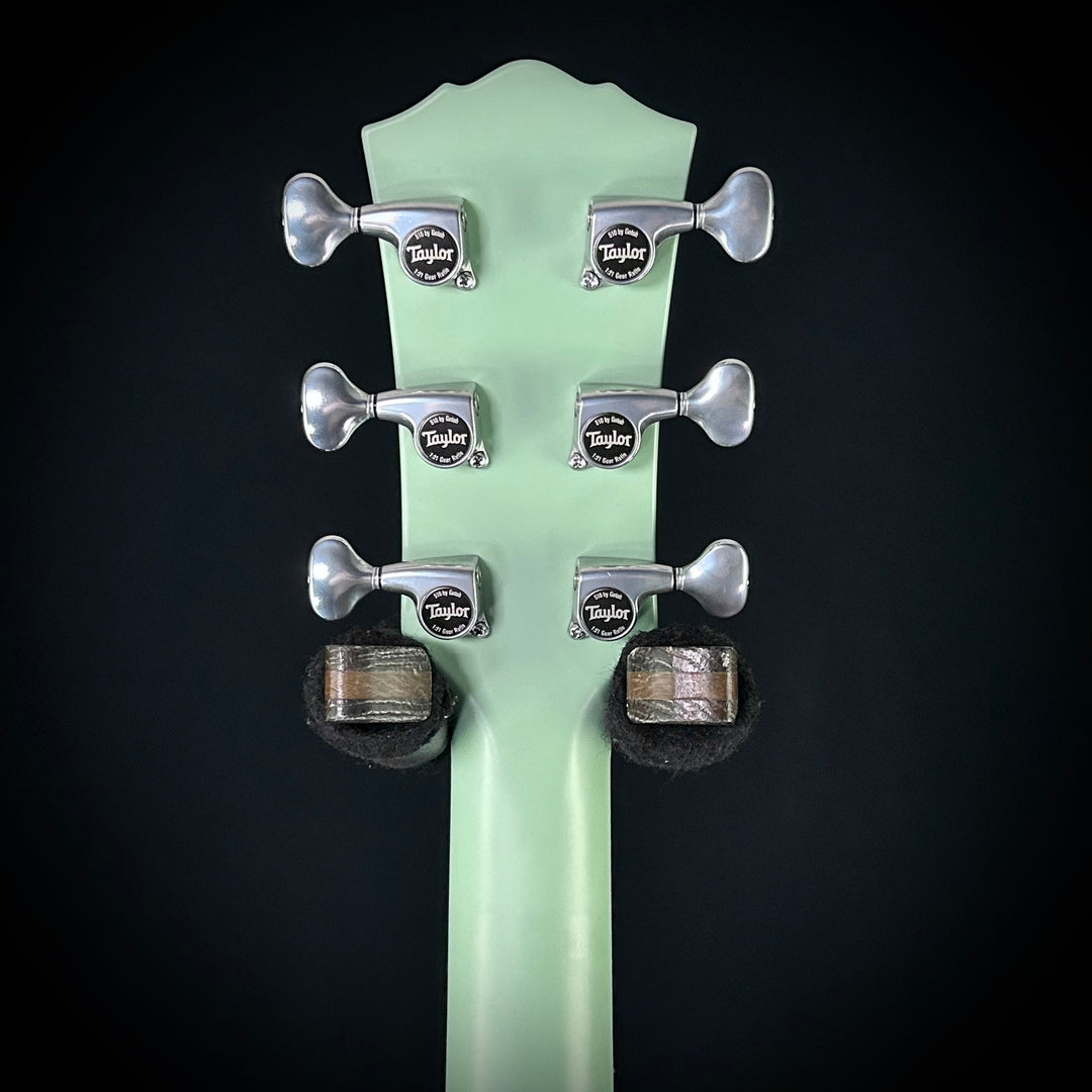 Taylor Custom #7 C14e - Fern Green