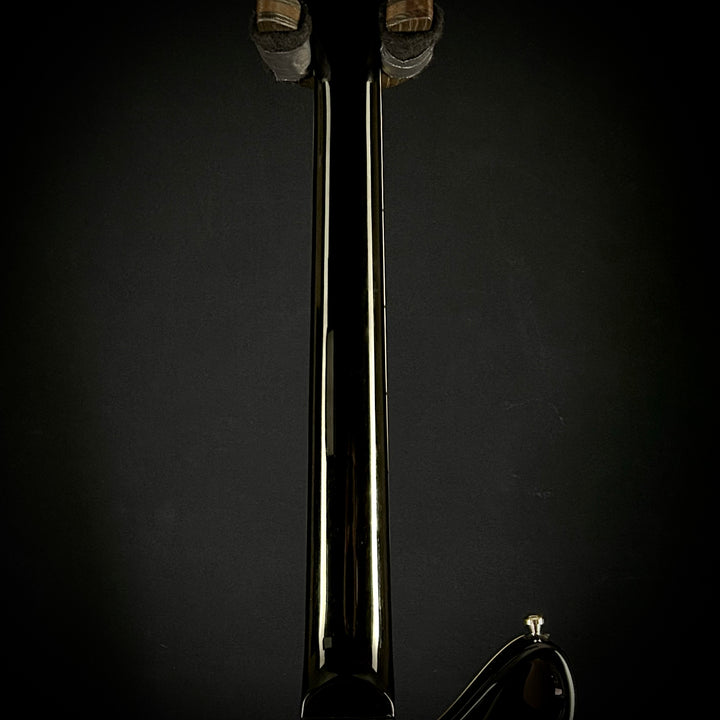 Duesenberg Paloma (USED)