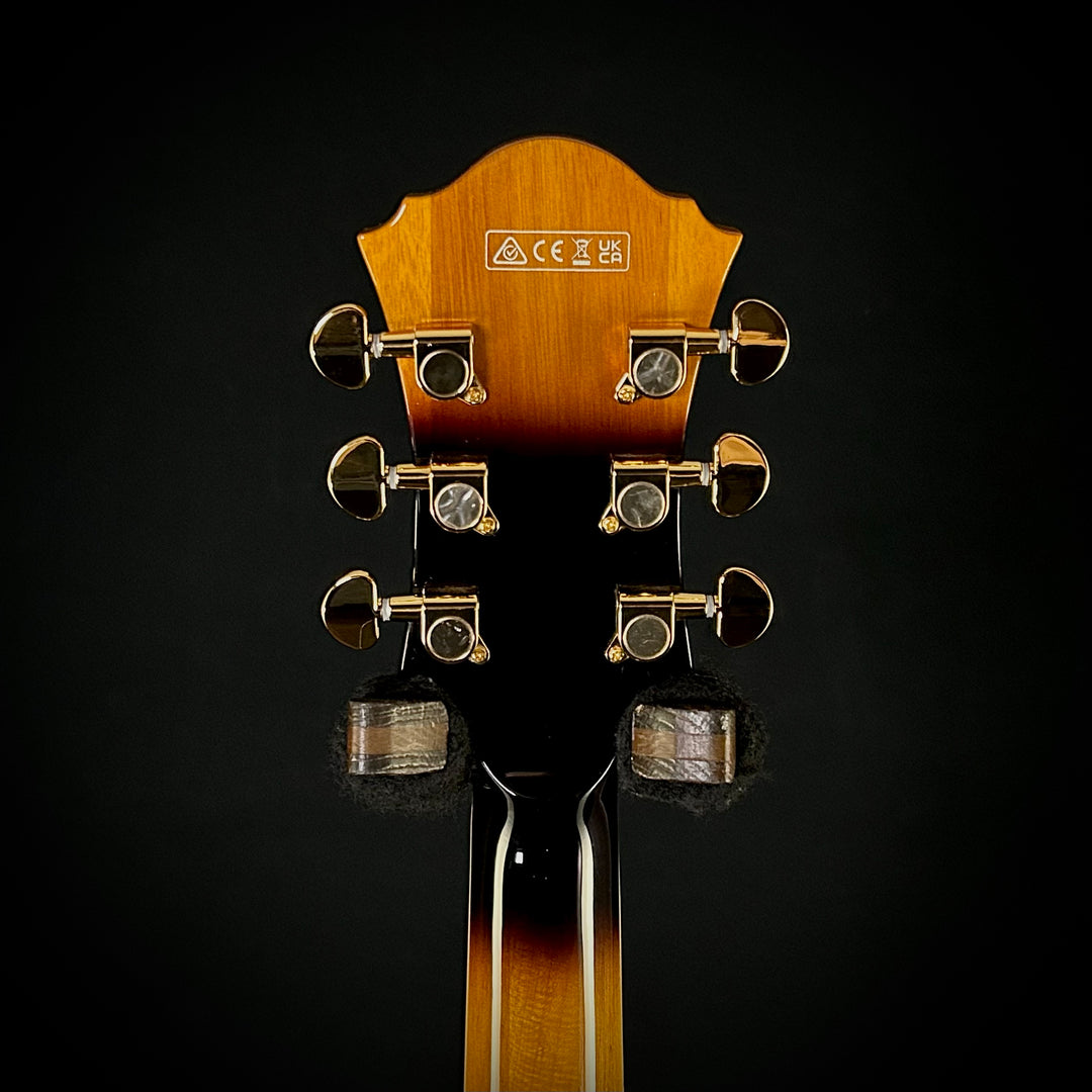 Ibanez Artcore Expressionist AF95FM