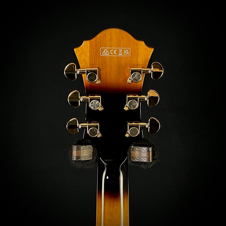 Ibanez Artcore Expressionist AF95FM