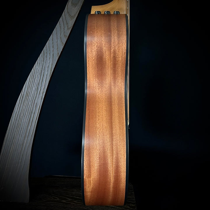 Taylor 112CE - Sapele