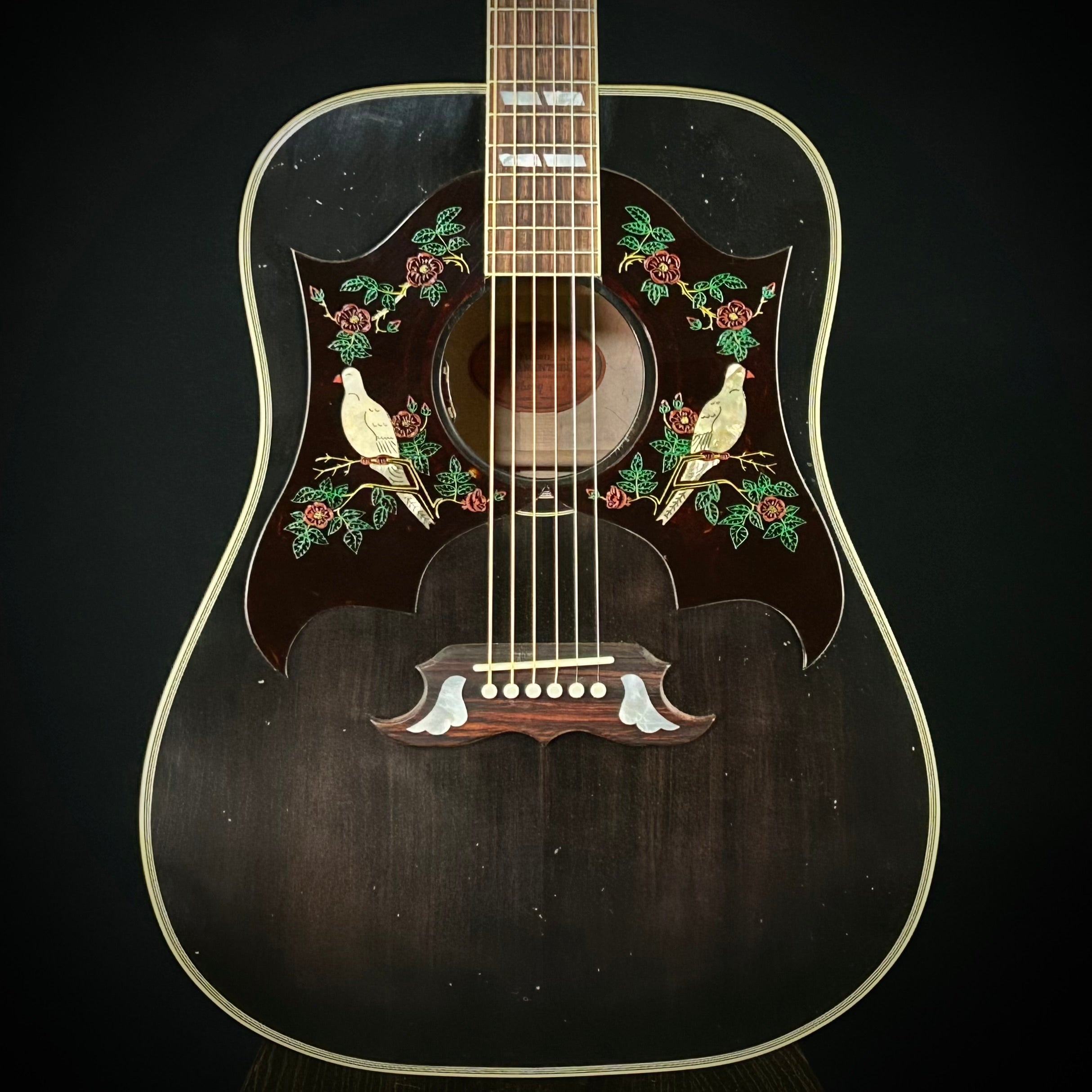 ギター Gibson Acoustic Limited Dove Trans Ebony Gibson Acoustic