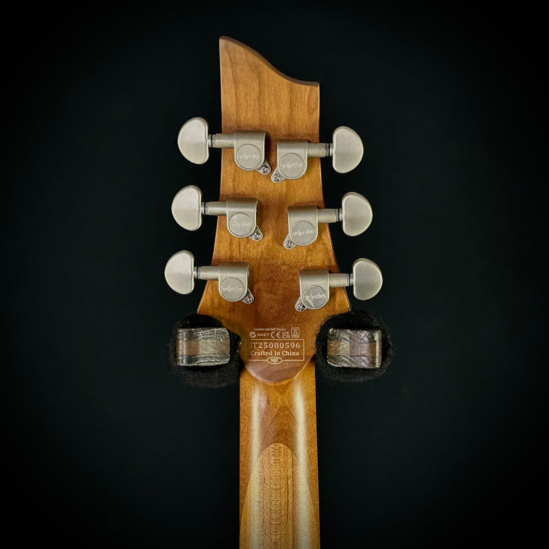 Schecter C-1 Standard Plus