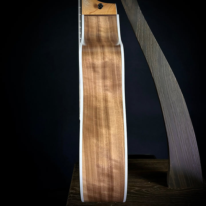 Taylor 214CE - Nylon
