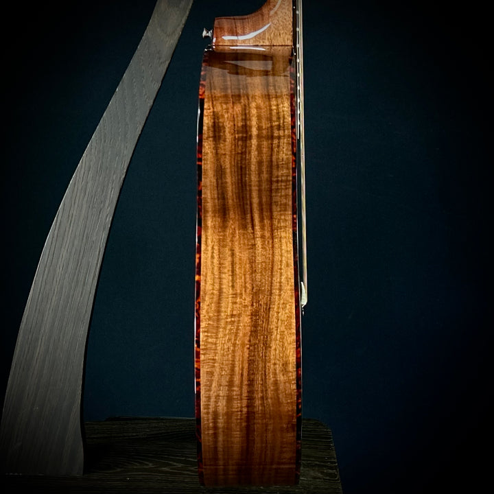 Alvarez RG99 KCE Elite