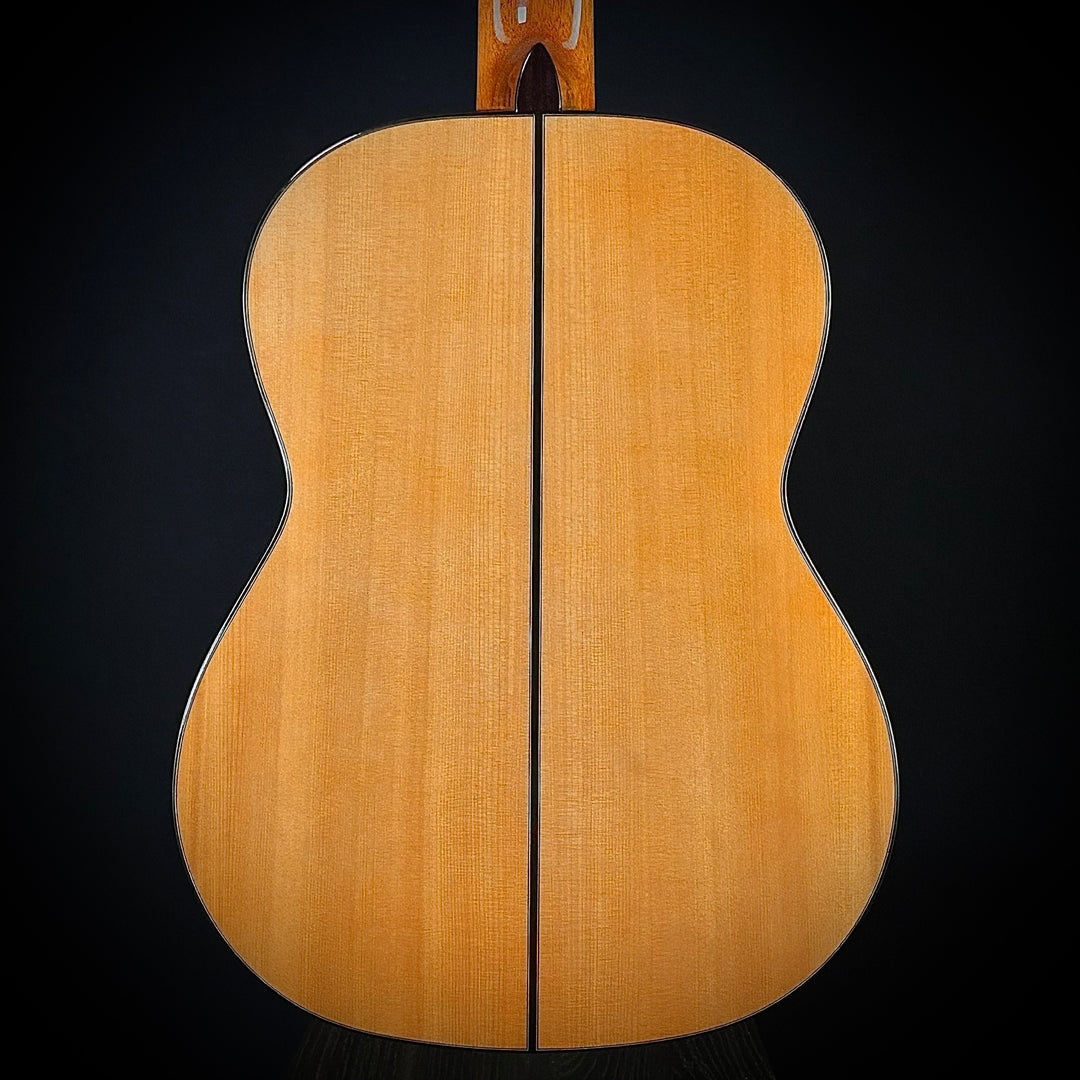 Cordoba F-10 Flamenco