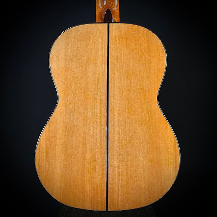 Cordoba F-10 Flamenco