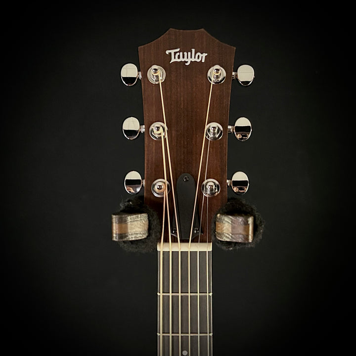 Taylor 24CE - Mahogany Top