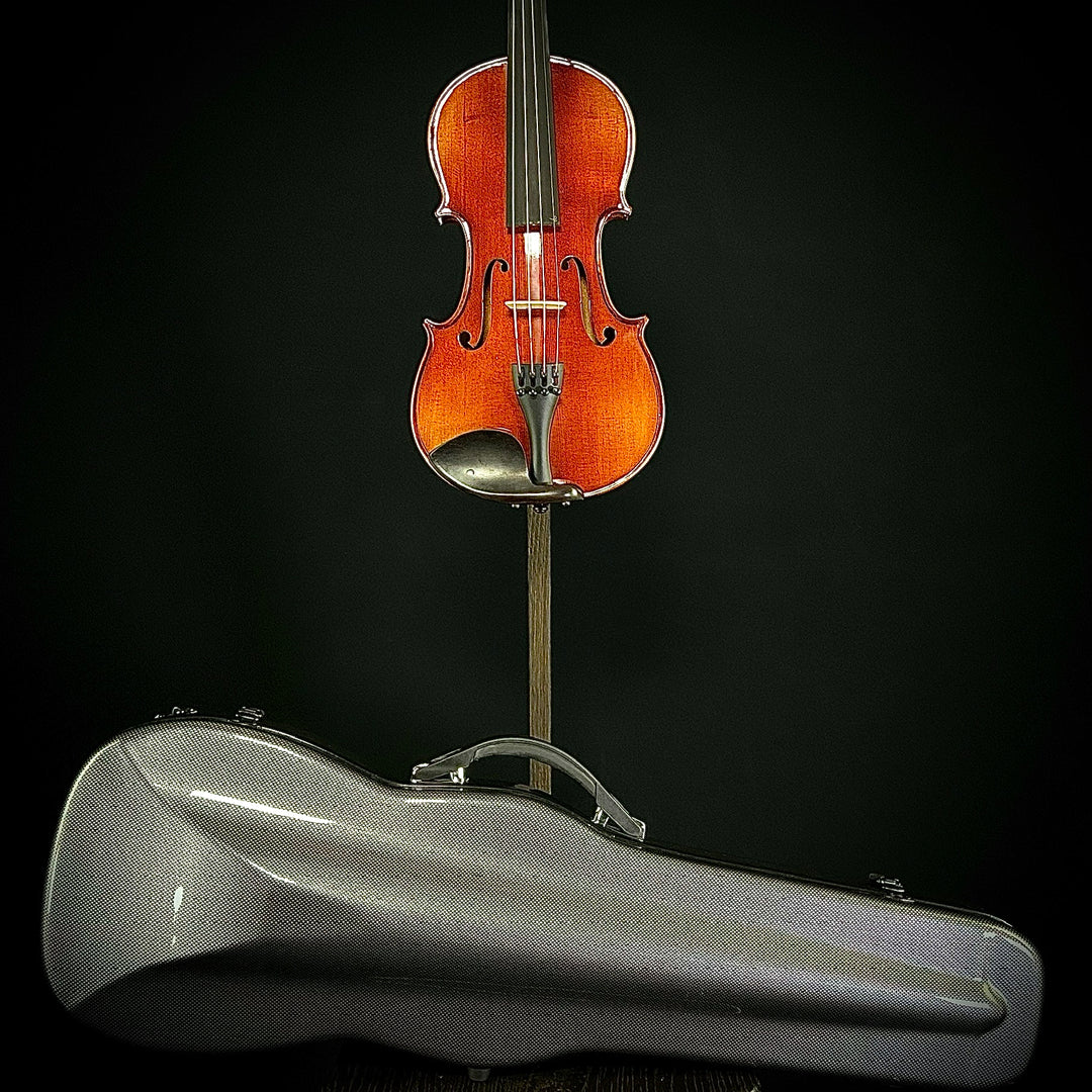 Albini Violin Package (Sizes 4/4, 3/4, 1/2, 1/4)