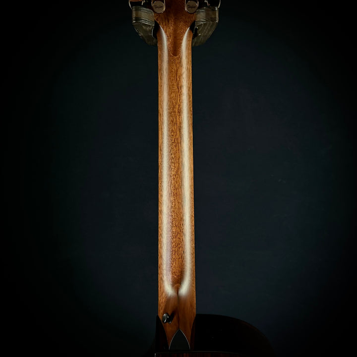 Taylor 414CE Baritone-8 - Special edition