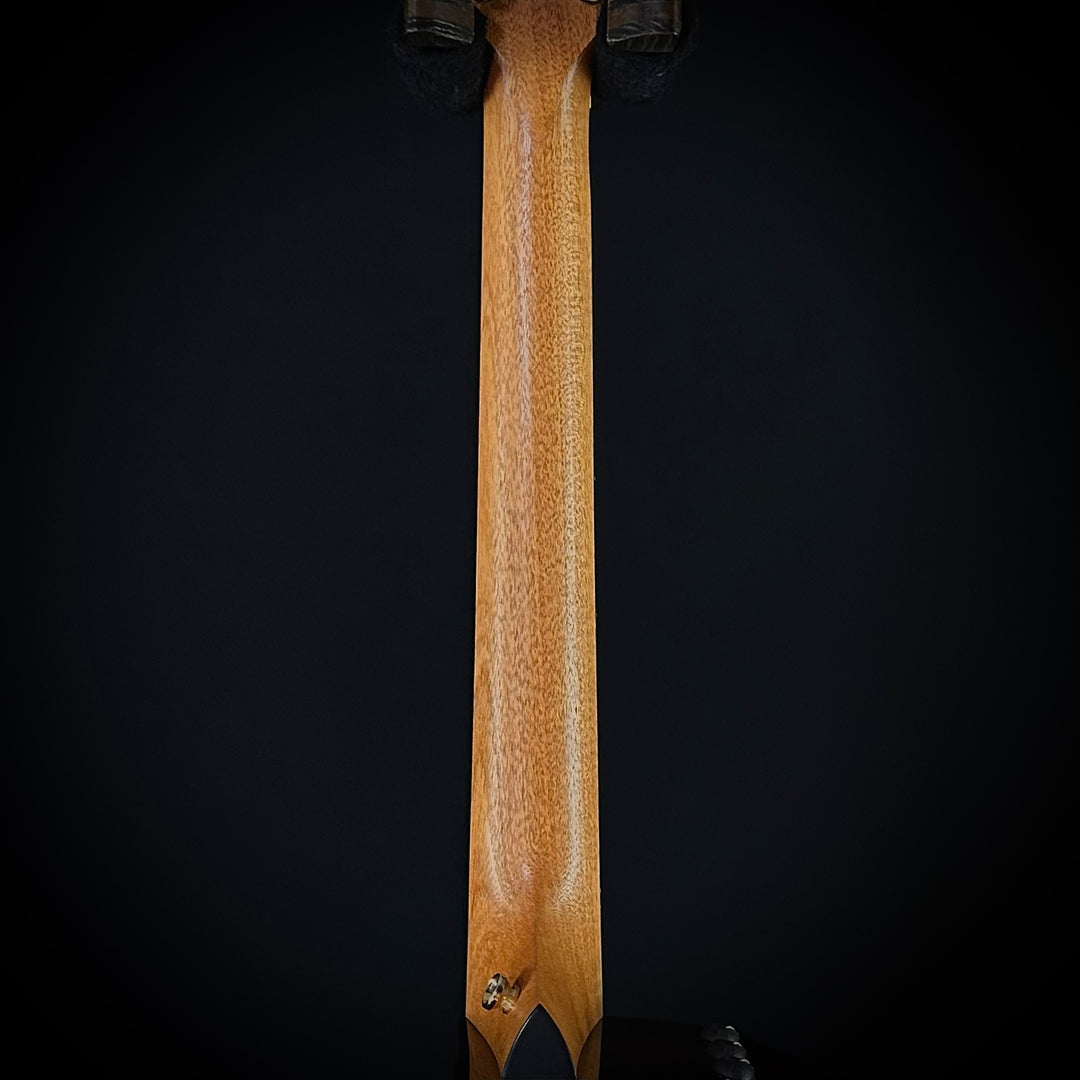 Taylor 224ce-K DLX