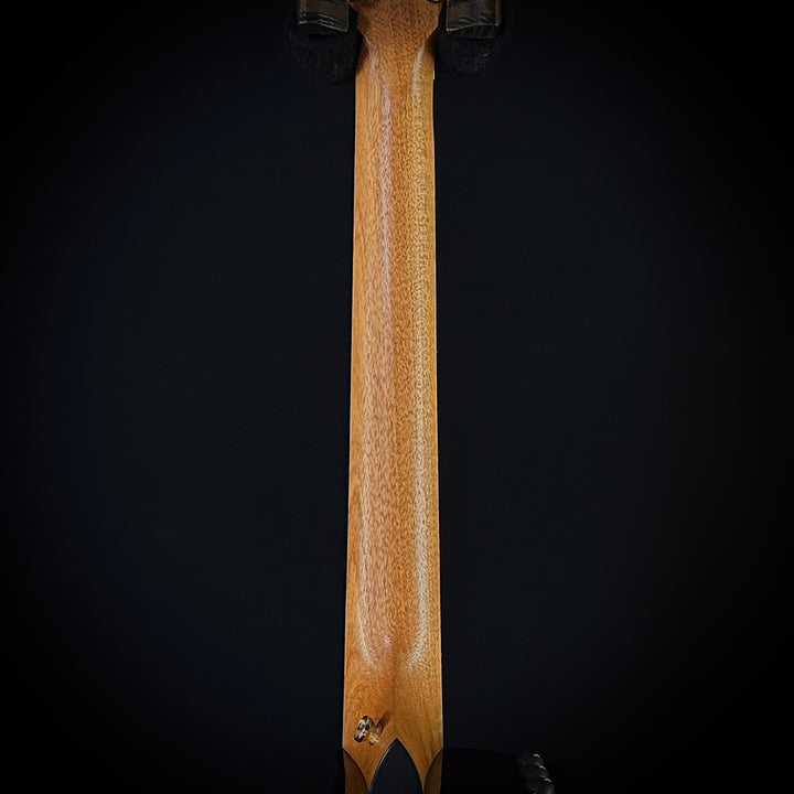 Taylor 224ce-K DLX