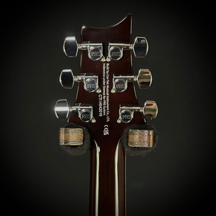 PRS SE DGT Standard