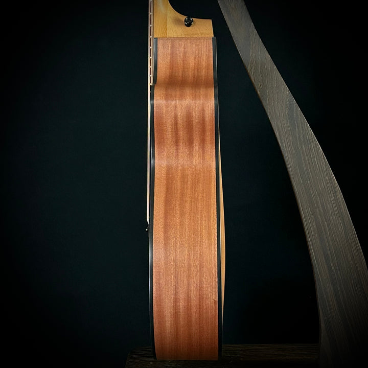 Taylor 112CE - Sapele