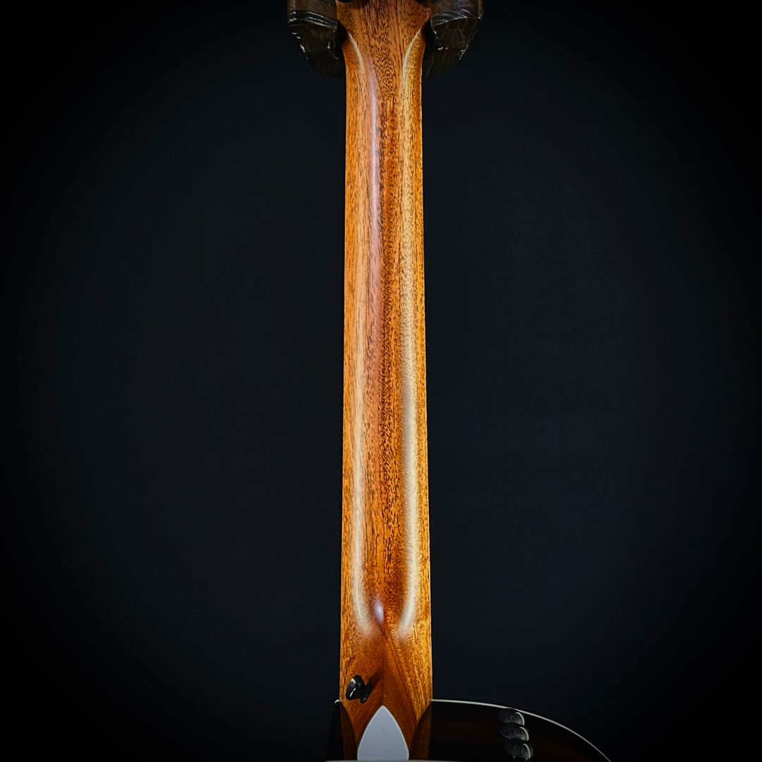Taylor 214CE Deluxe - Special Edition Black Top