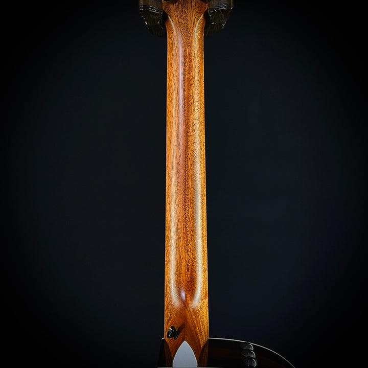 Taylor 214CE Deluxe - Special Edition Black Top