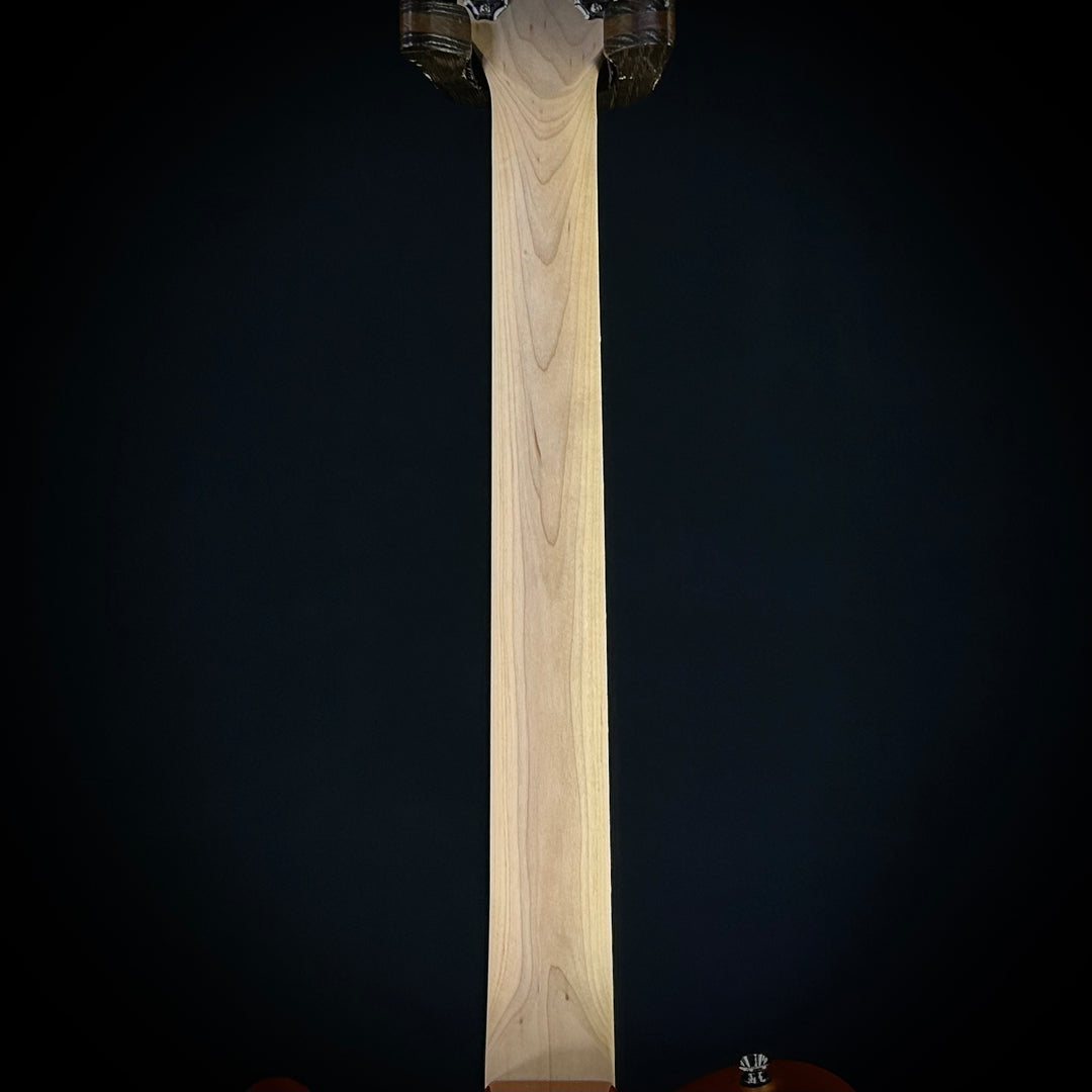 Squier Paranormal Troy Van Leeuwen Telecaster XII