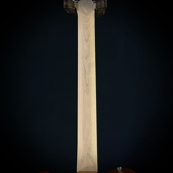 Squier Paranormal Troy Van Leeuwen Telecaster XII