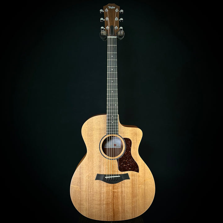 Taylor 14CE - Torrefied Spruce