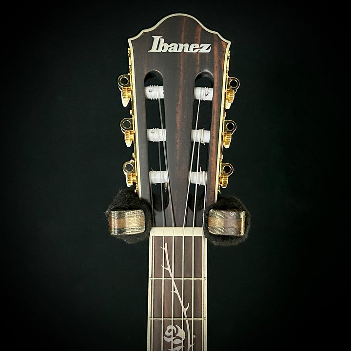Ibanez TOD1ON Tim Henson Nylon | Lefty