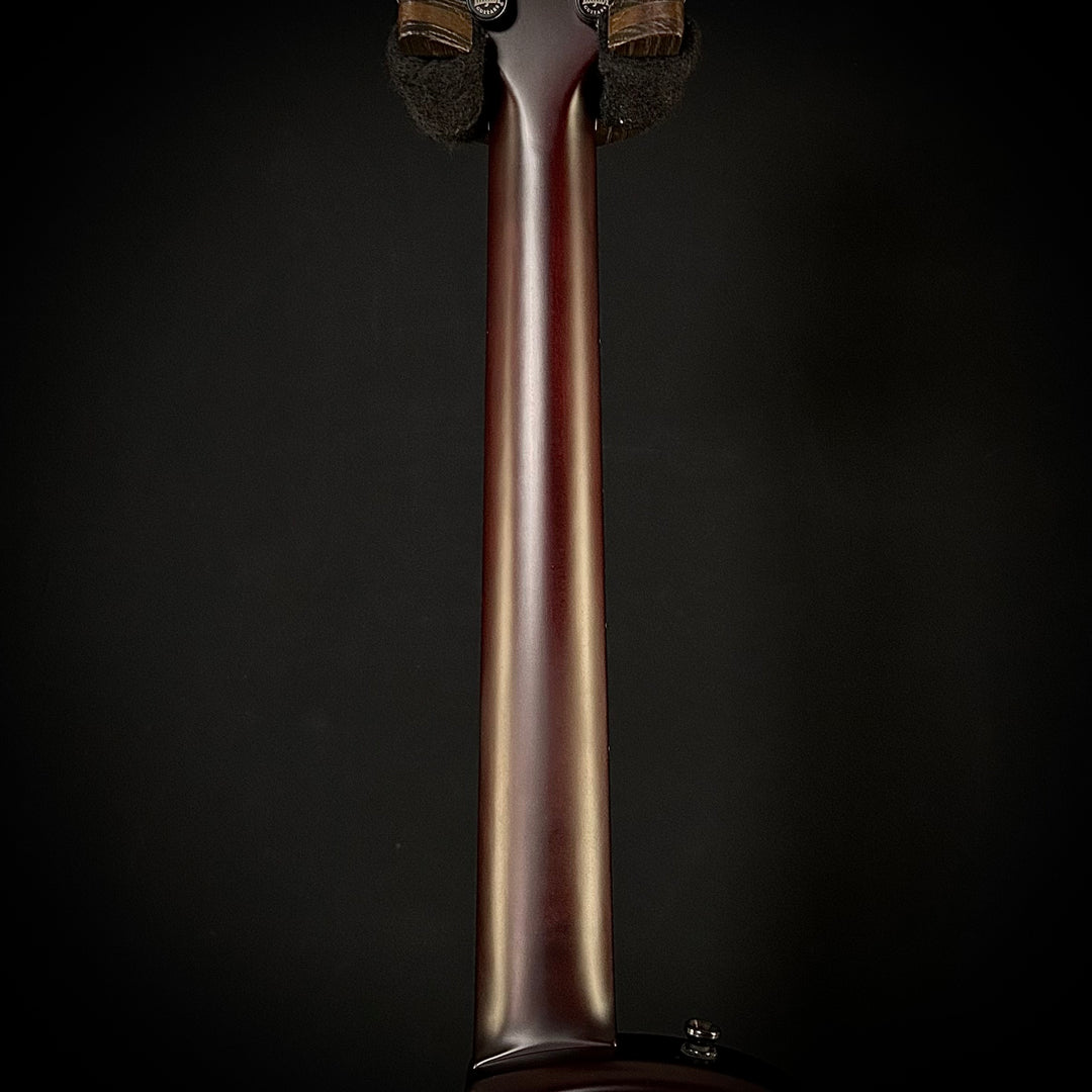 Taylor T5Z Classic - Sassafras