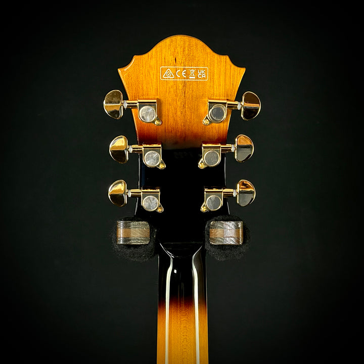 Ibanez Artcore Expressionist AF95FM