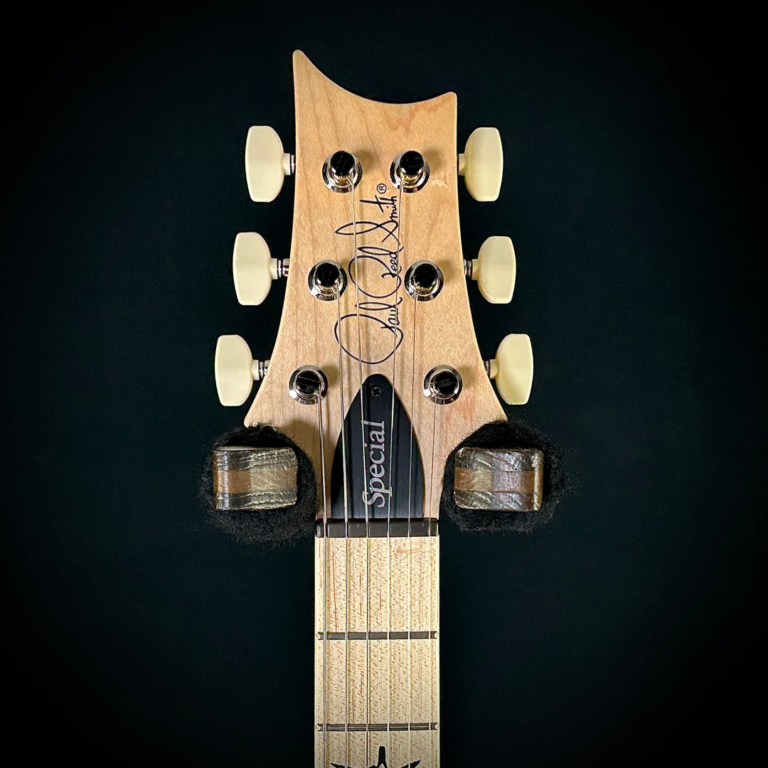 PRS Swamp Ash Special