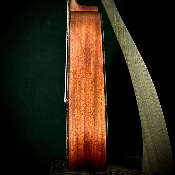 Eastman E1D
