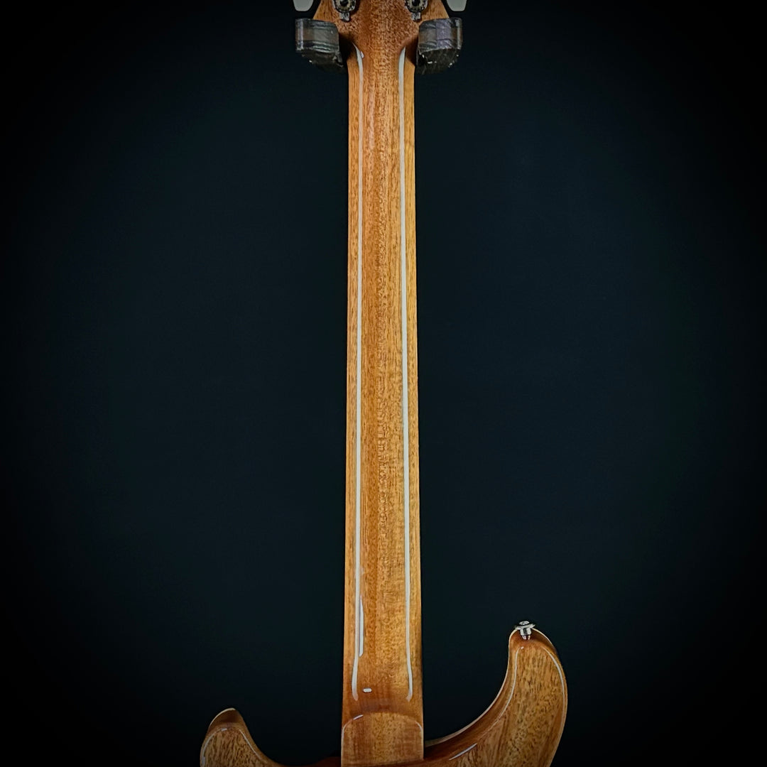 PRS Custom 24 Birds Of A Feather