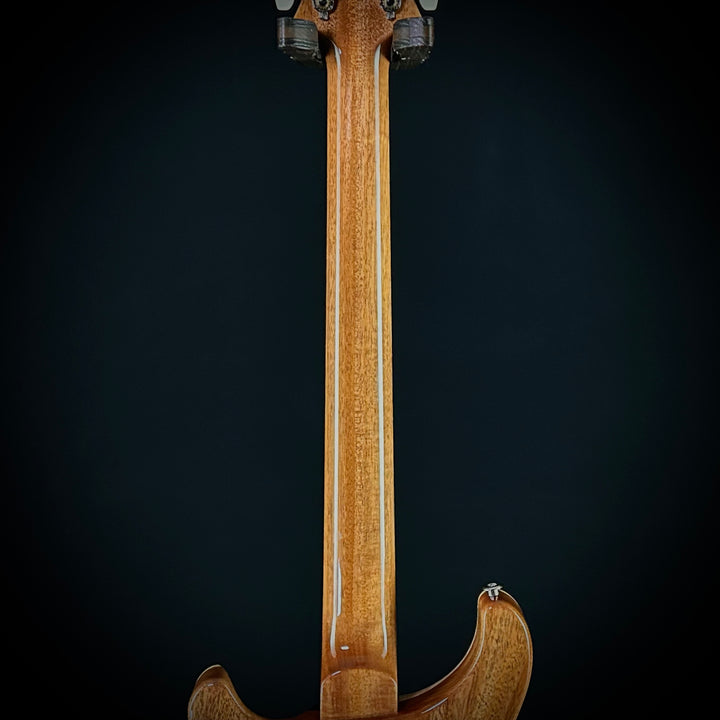 PRS Custom 24 Birds Of A Feather
