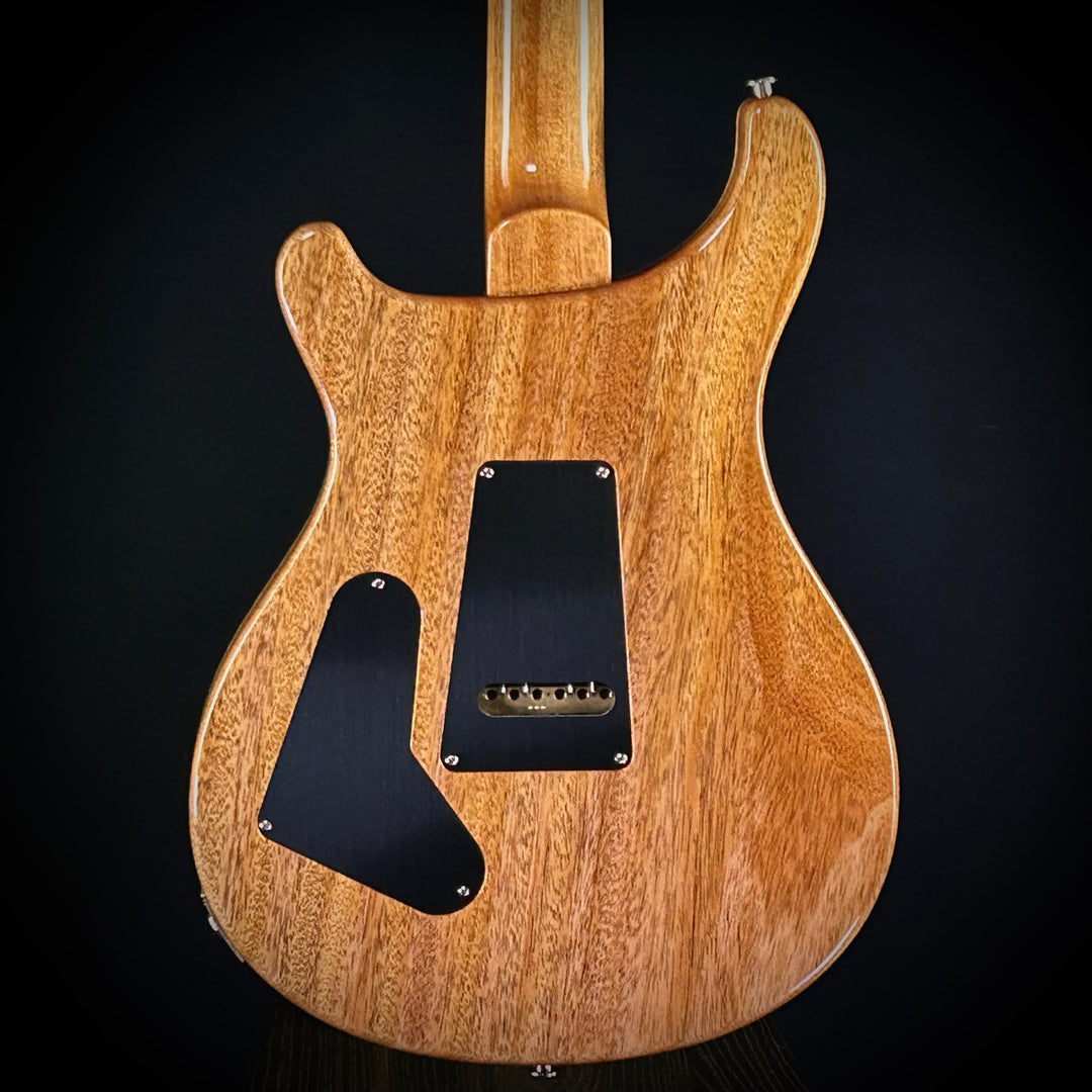 PRS Custom 24 Birds Of A Feather