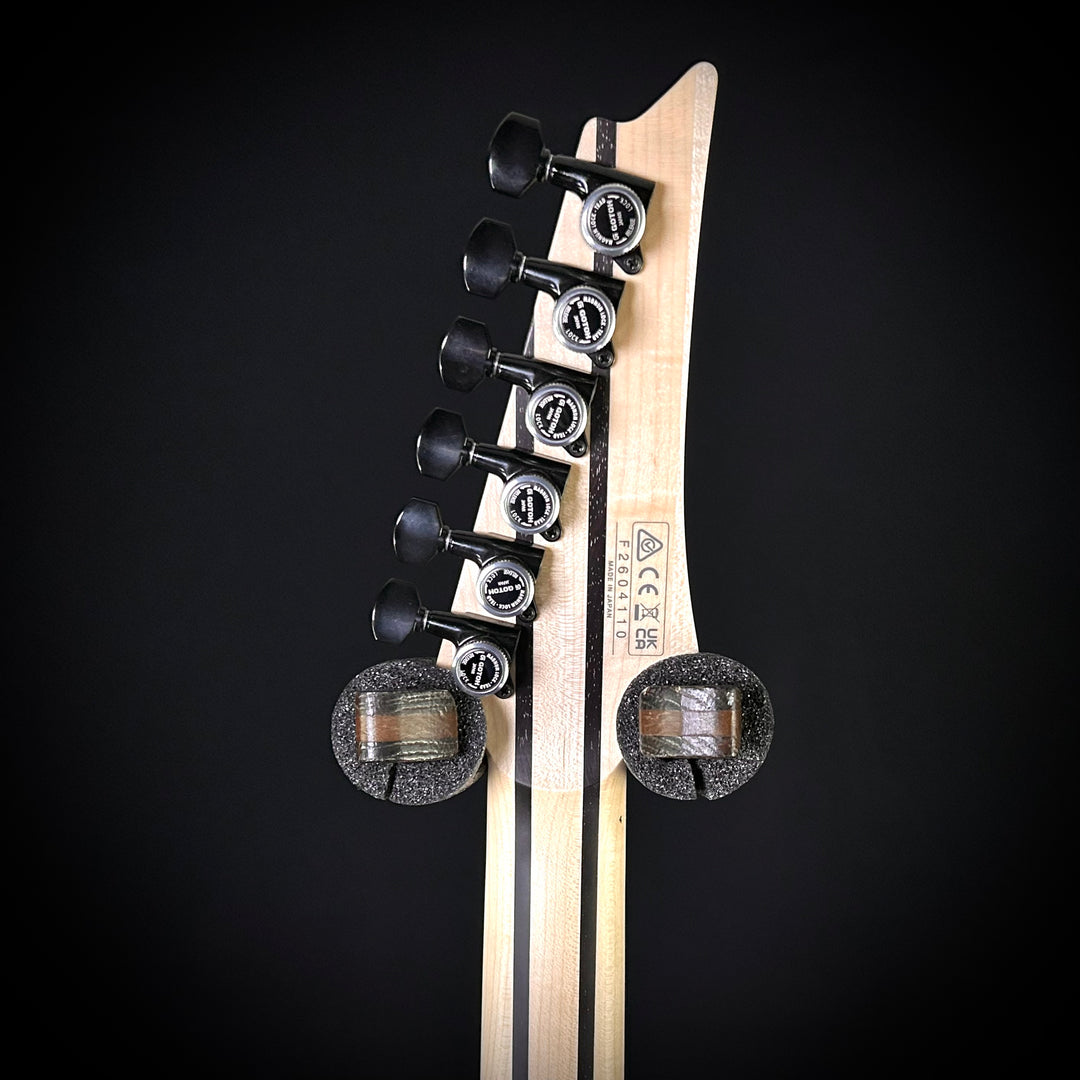 Ibanez RGR5111RB Prestige