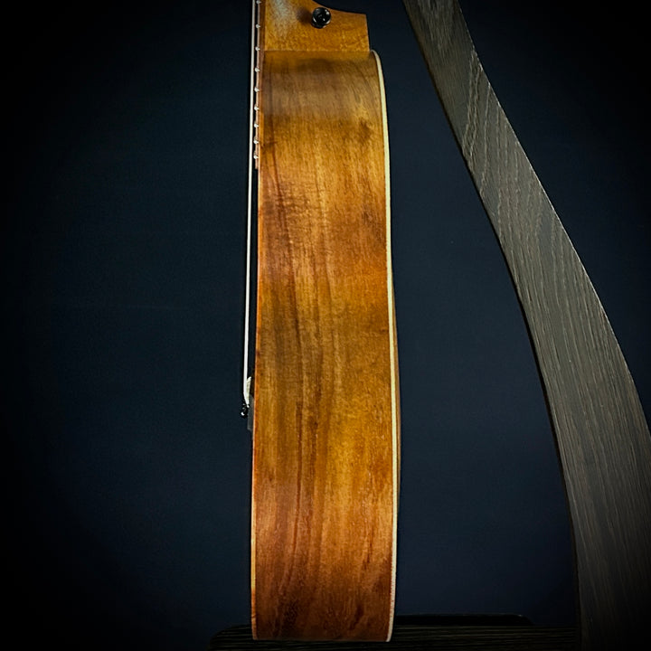 Taylor GS Mini-e Koa