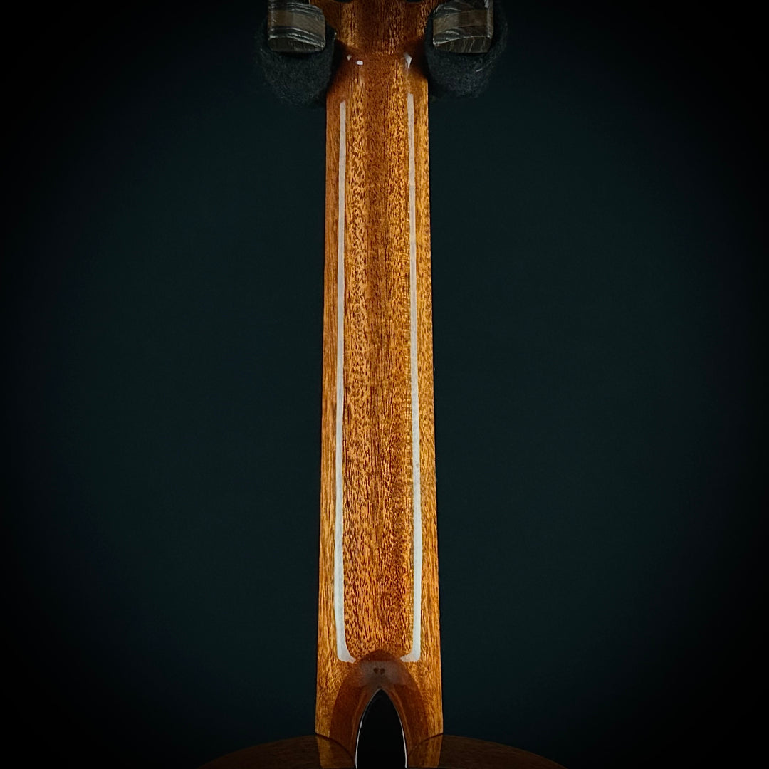 Cordoba C9 Parlor Cedar Top