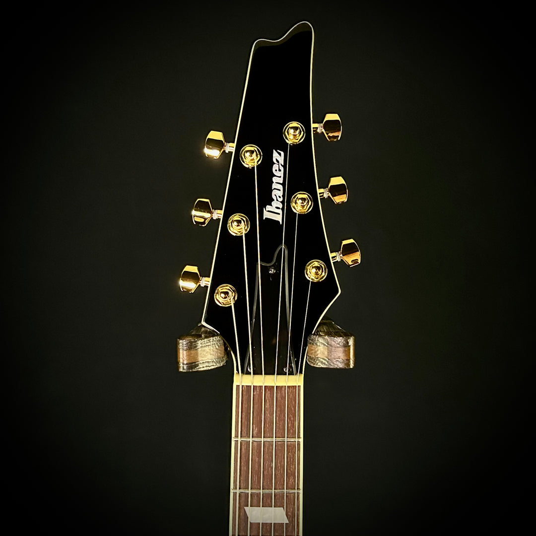 Ibanez Iceman IC420