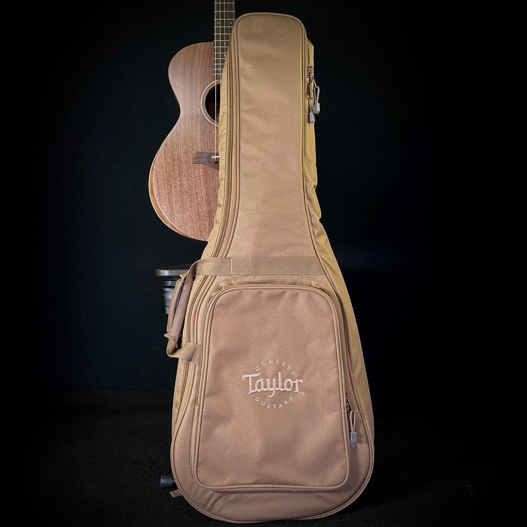 Taylor Jacob Collier Academy 22E - 5 String