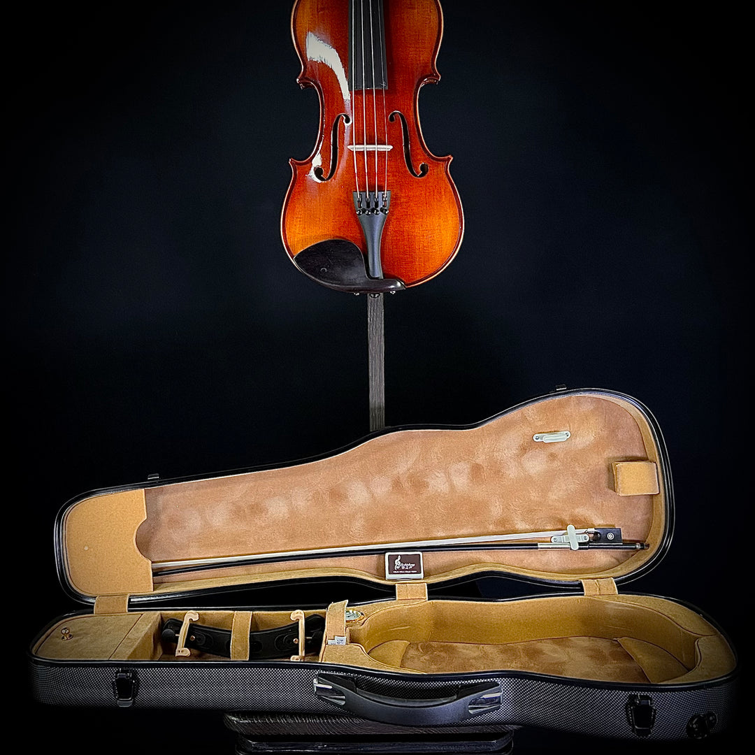 Albini Violin Package (Sizes 4/4, 3/4, 1/2, 1/4)
